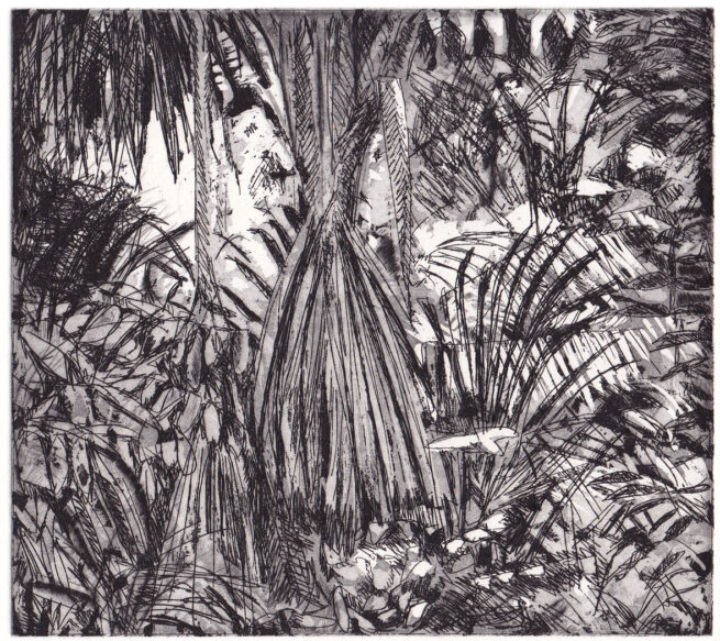 Forêt amazonienne - Eau-forte sur cuivre