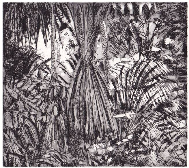 Forêt amazonienne - Eau-forte sur cuivre
