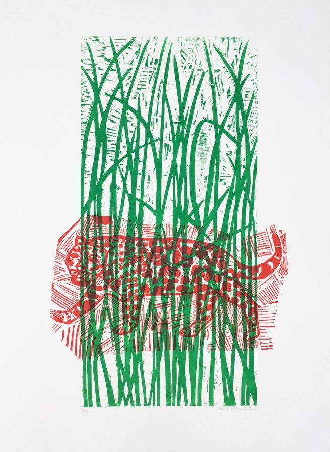 Jaguar, gravure sur bois et sur lino