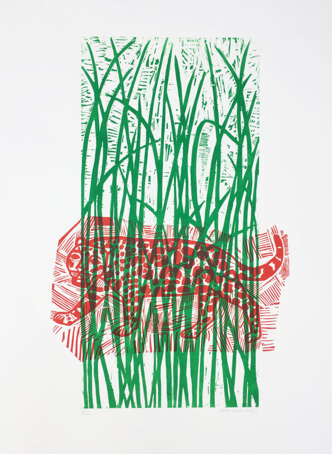Jaguar, gravure sur bois et sur lino
