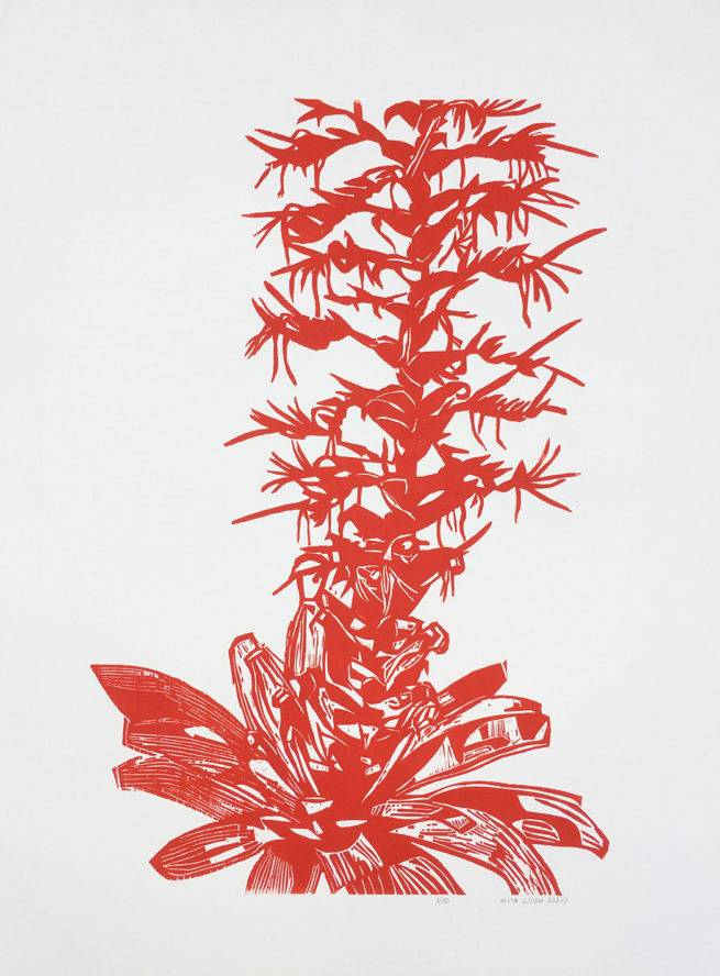Bromélia, gravure sur bois