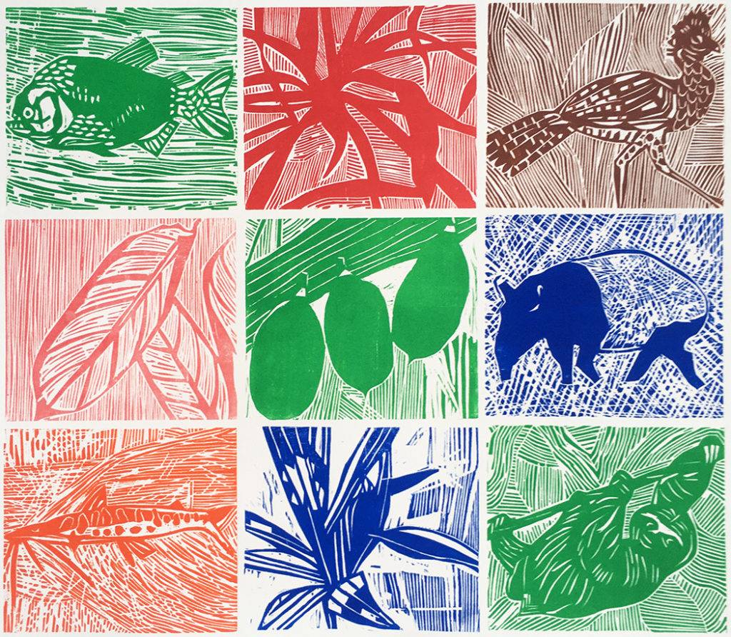 Faune et flore amazoniennes