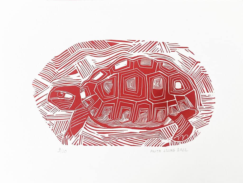 Une tortue , linogravure
