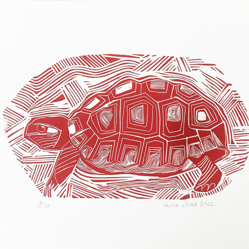 Une tortue , linogravure