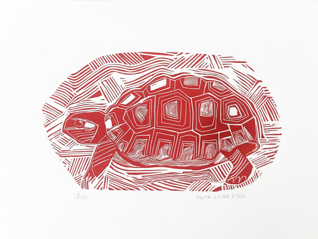 Une tortue , linogravure