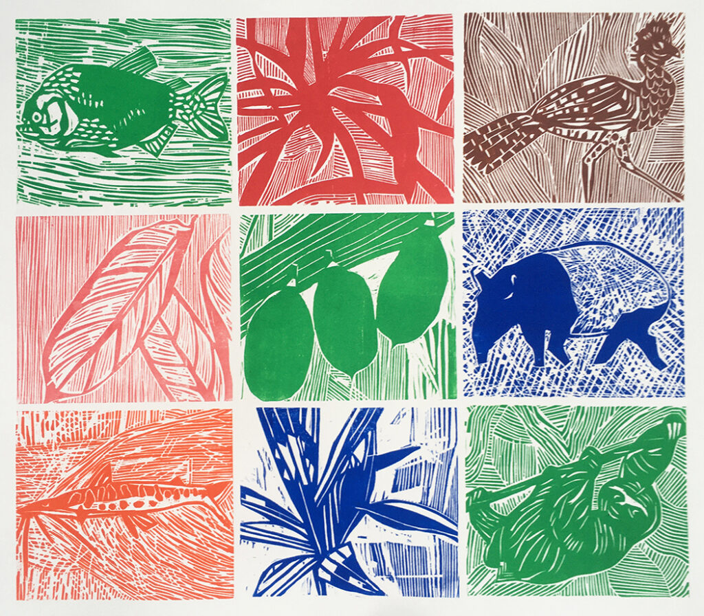 Faune et flore amazoniennes