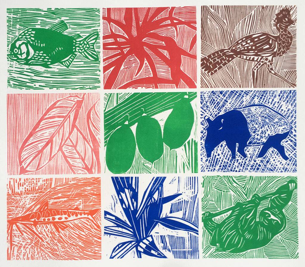Faune et flore amazoniennes